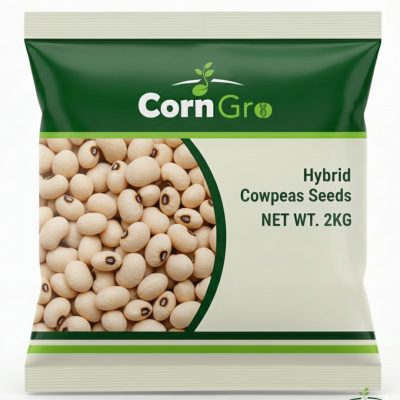 Cowpea Seeds