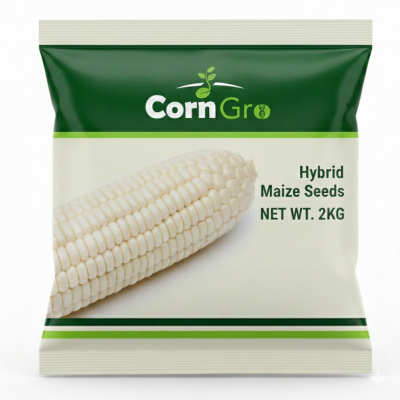Premium Maize Seeds